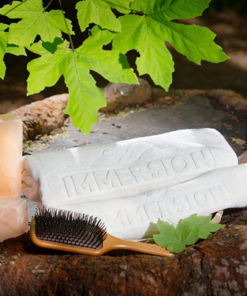 immersion-spa-still-life-with-brush-5760x