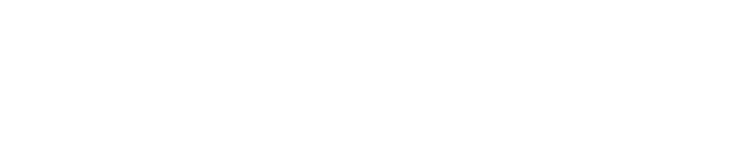 logotype immersion final white
